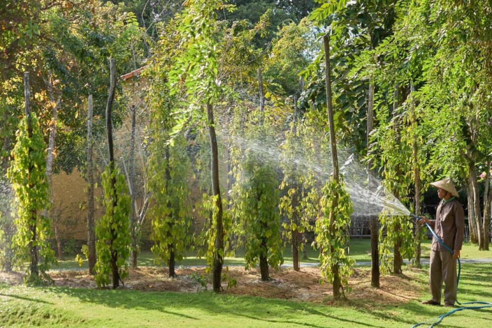 Green Bay Phu Quoc Resort & Spa Rondreis Vietnam Vakantie Original Asia