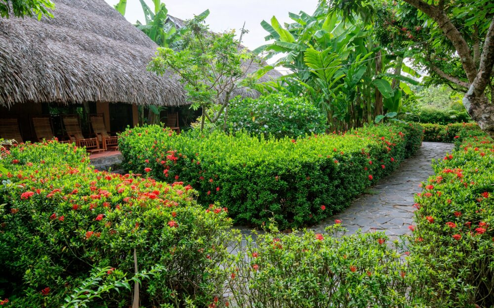 Mekong Lodge Resort Can Tho Rondreis Vietnam Vakantie Original Asia