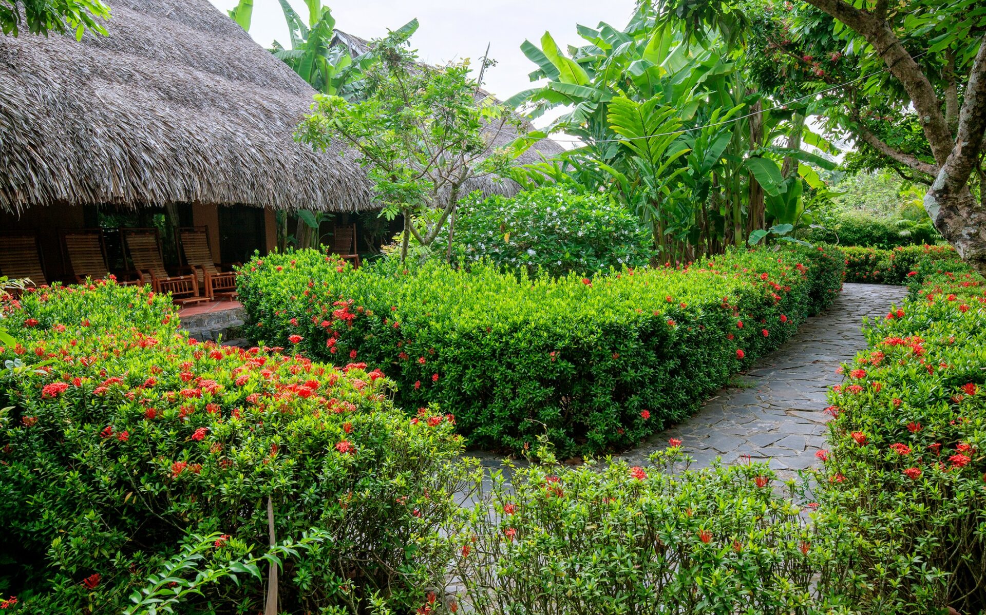 Mekong Lodge Resort Can Tho Rondreis Vietnam Vakantie Original Asia