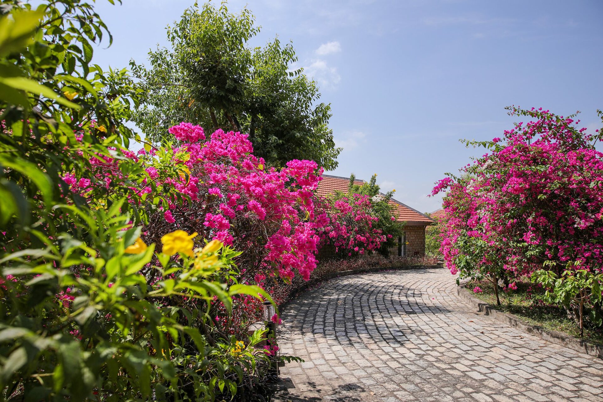 Victoria Nui Sam Lodge Chau Doc Rondreis Vietnam Vakantie Original Asia