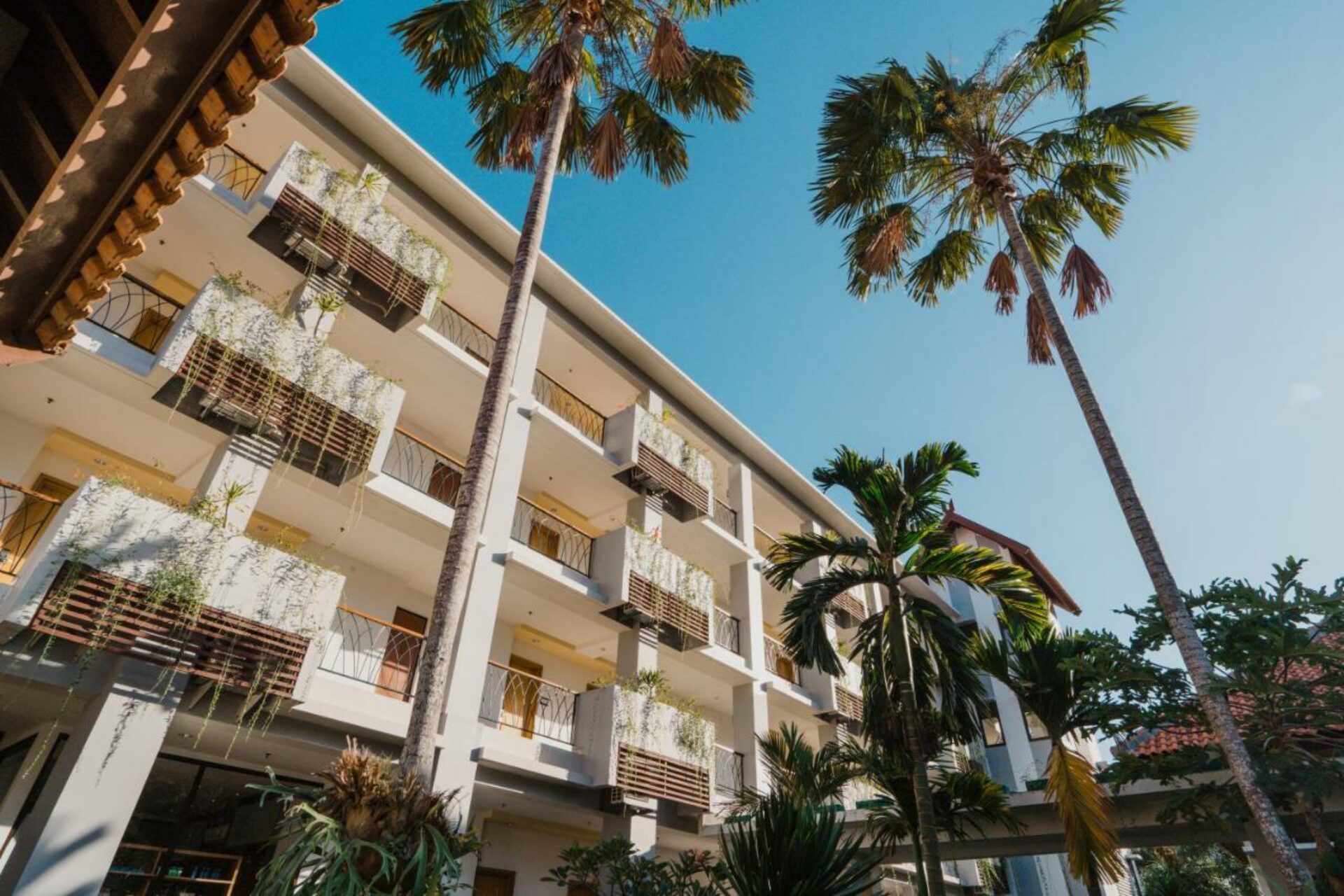 Bintang Flores Hotel Labuan Bajo Rondreis Indonesia Vakantie Original Asia