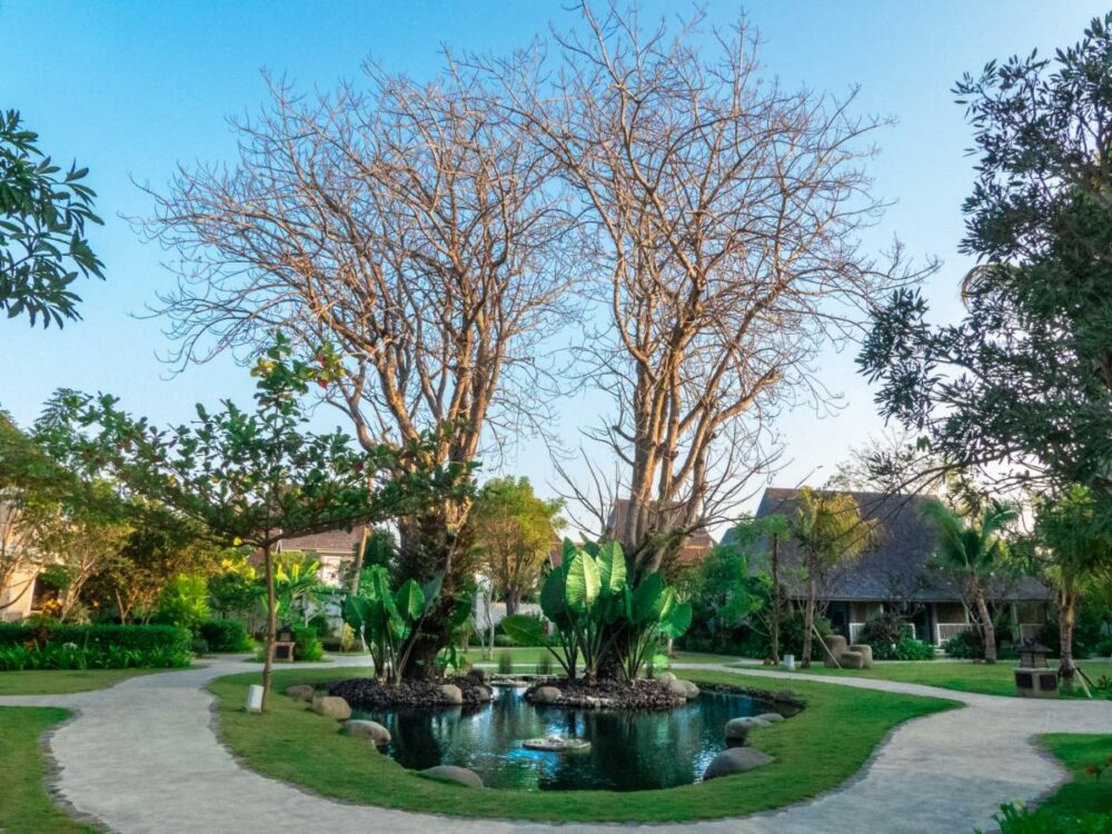 Sudamala Resort Komodo Labuan Bajo Rondreis Indonesia Vakantie Original Asia