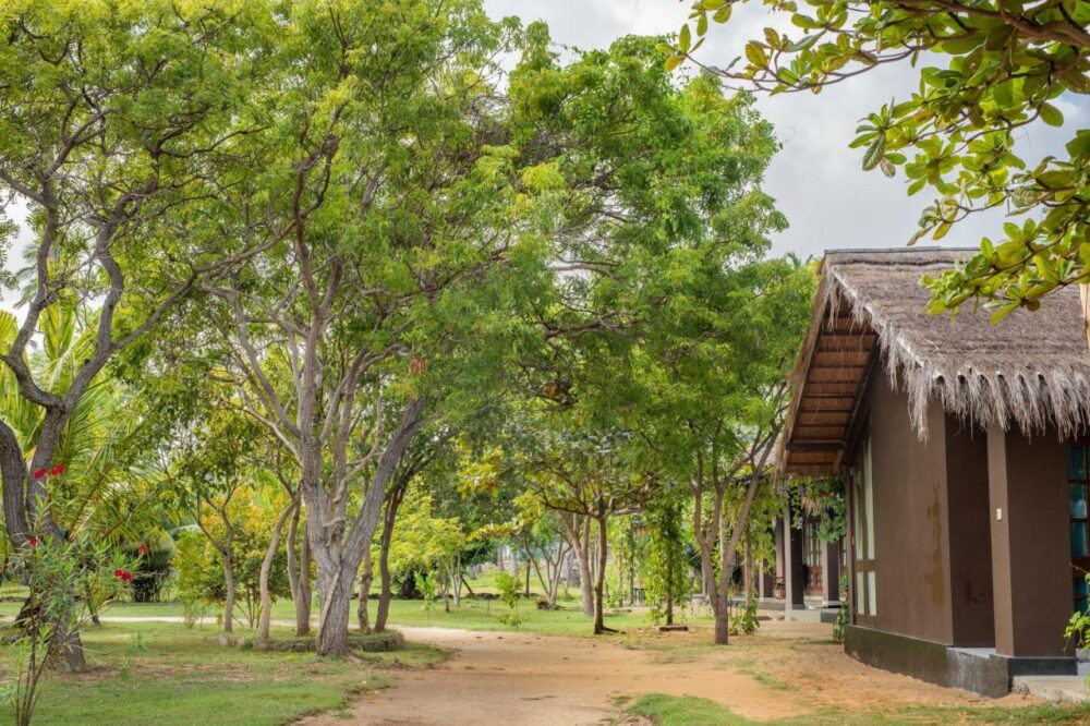 Club Mango Kalpitiya Rondreis Sri Lanka Vakantie Original Asia