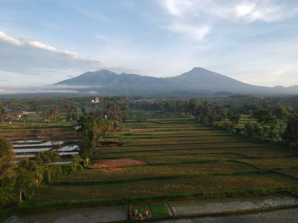Flush Harmony Tetebatu Lombok Rondreis Indonesia Vakantie Original Asia
