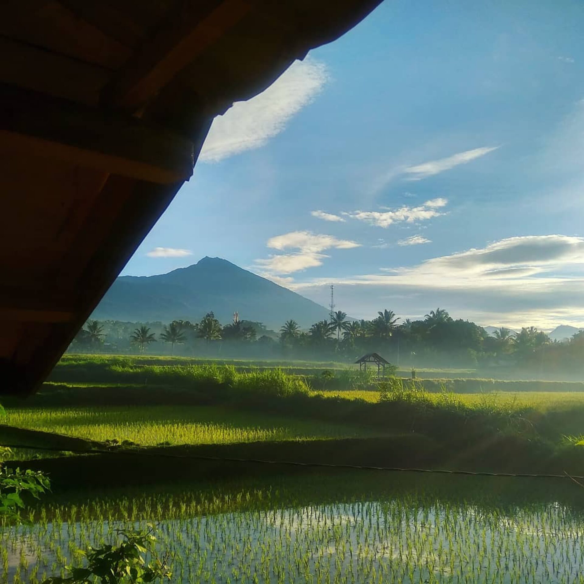Flush Harmony Tetebatu Lombok Rondreis Indonesia Vakantie Original Asia
