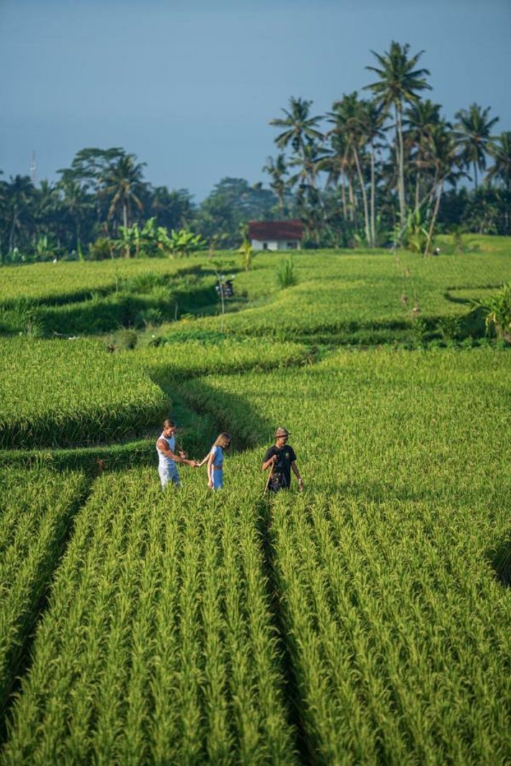 Sun of Granary Resort Ubud Rondreis Indonesia Vakantie Original Asia