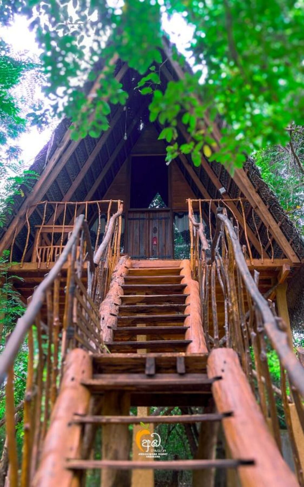 Ambasewana Resort Treehouse Culturele Driehoek Habarana Rondreis Sri Lanka Vakantie Original Asia