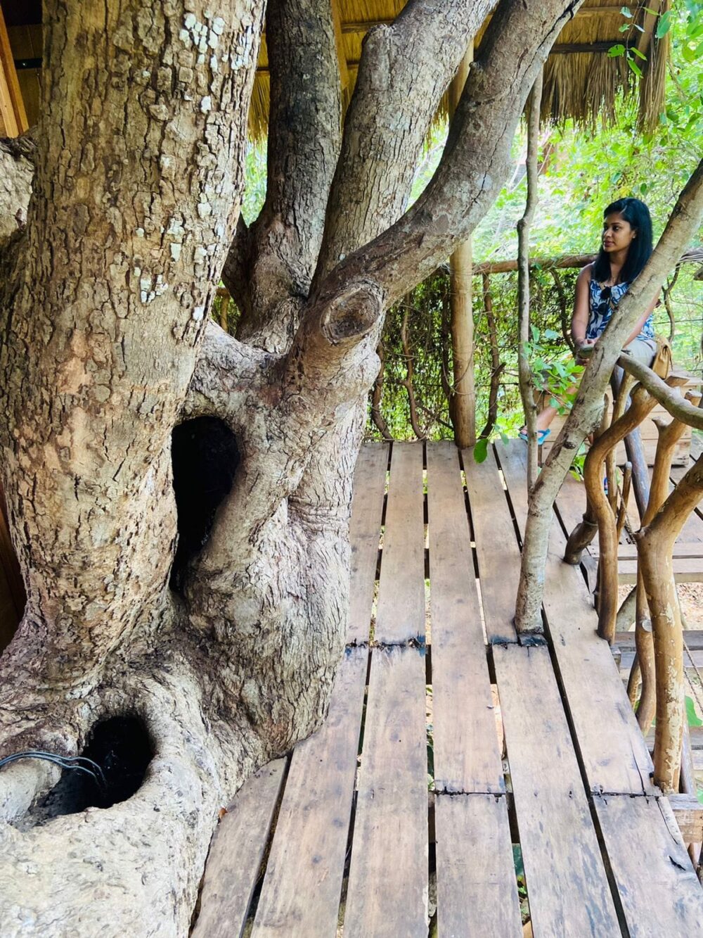 Ambasewana Resort Treehouse Culturele Driehoek Habarana Rondreis Sri Lanka Vakantie Original Asia