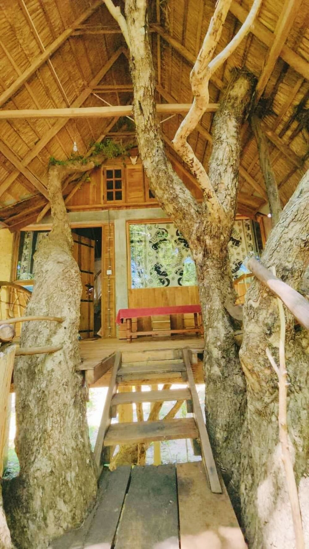 Ambasewana Resort Treehouse Culturele Driehoek Habarana Rondreis Sri Lanka Vakantie Original Asia