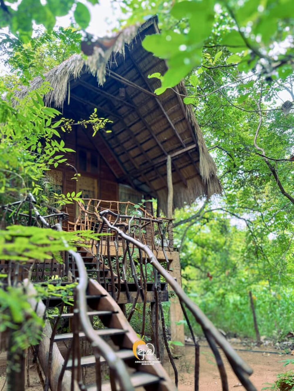 Ambasewana Resort Treehouse Culturele Driehoek Habarana Rondreis Sri Lanka Vakantie Original Asia