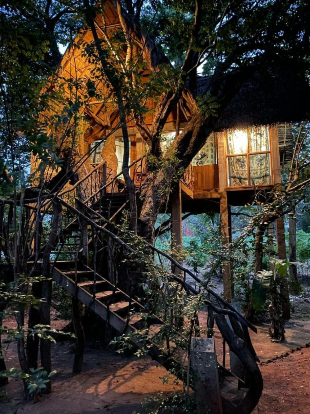 Ambasewana Resort Treehouse Culturele Driehoek Habarana Rondreis Sri Lanka Vakantie Original Asia