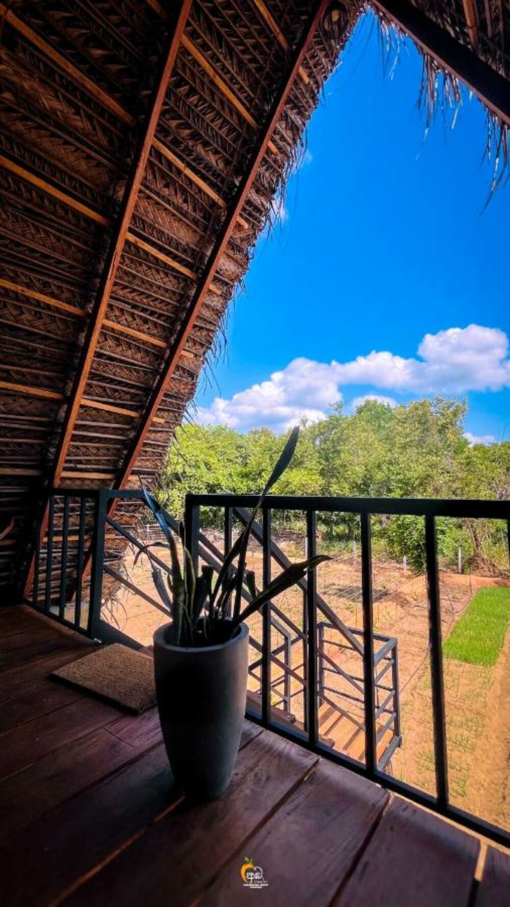 Ambasewana Resort Treehouse Culturele Driehoek Habarana Rondreis Sri Lanka Vakantie Original Asia