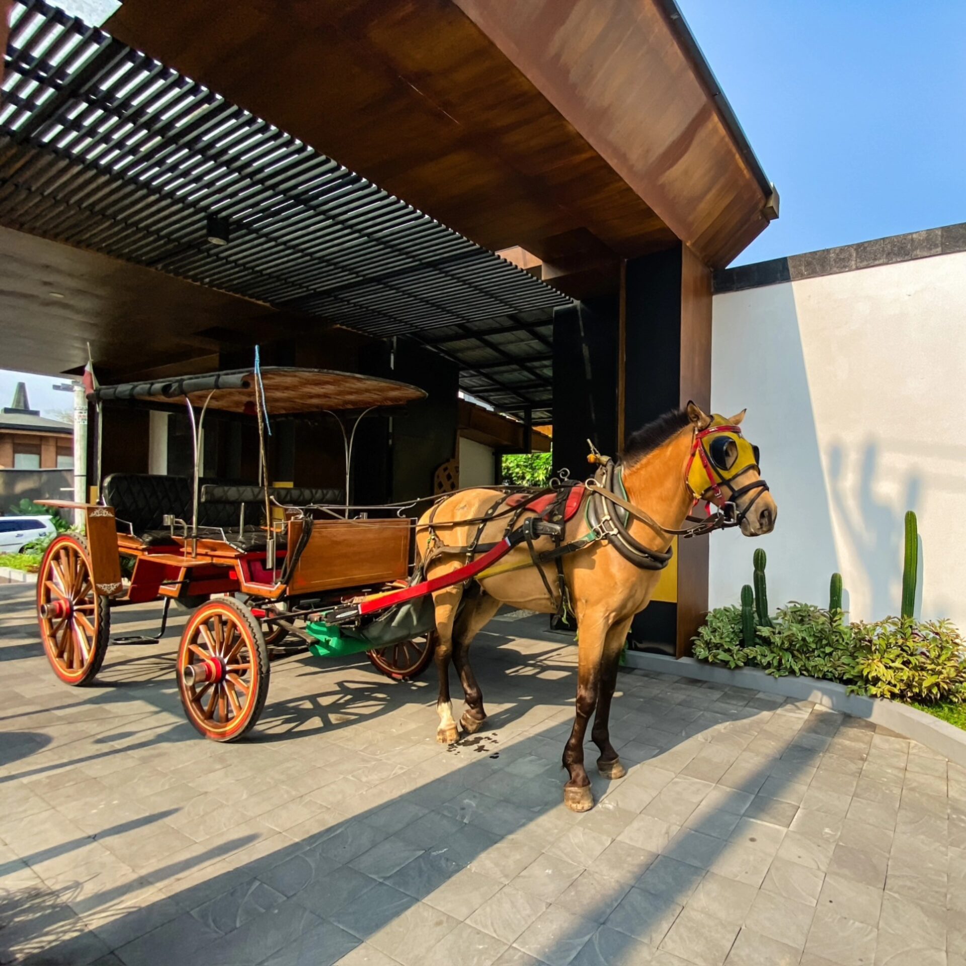 Le Temple Borobudur Java Rondreis Indonesie Vakantie Original Asia