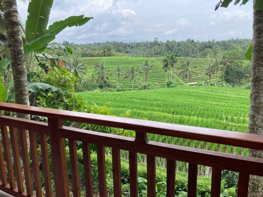 Antagana Retreat Bali Rondreis Indonesie Vakantie Original Asia