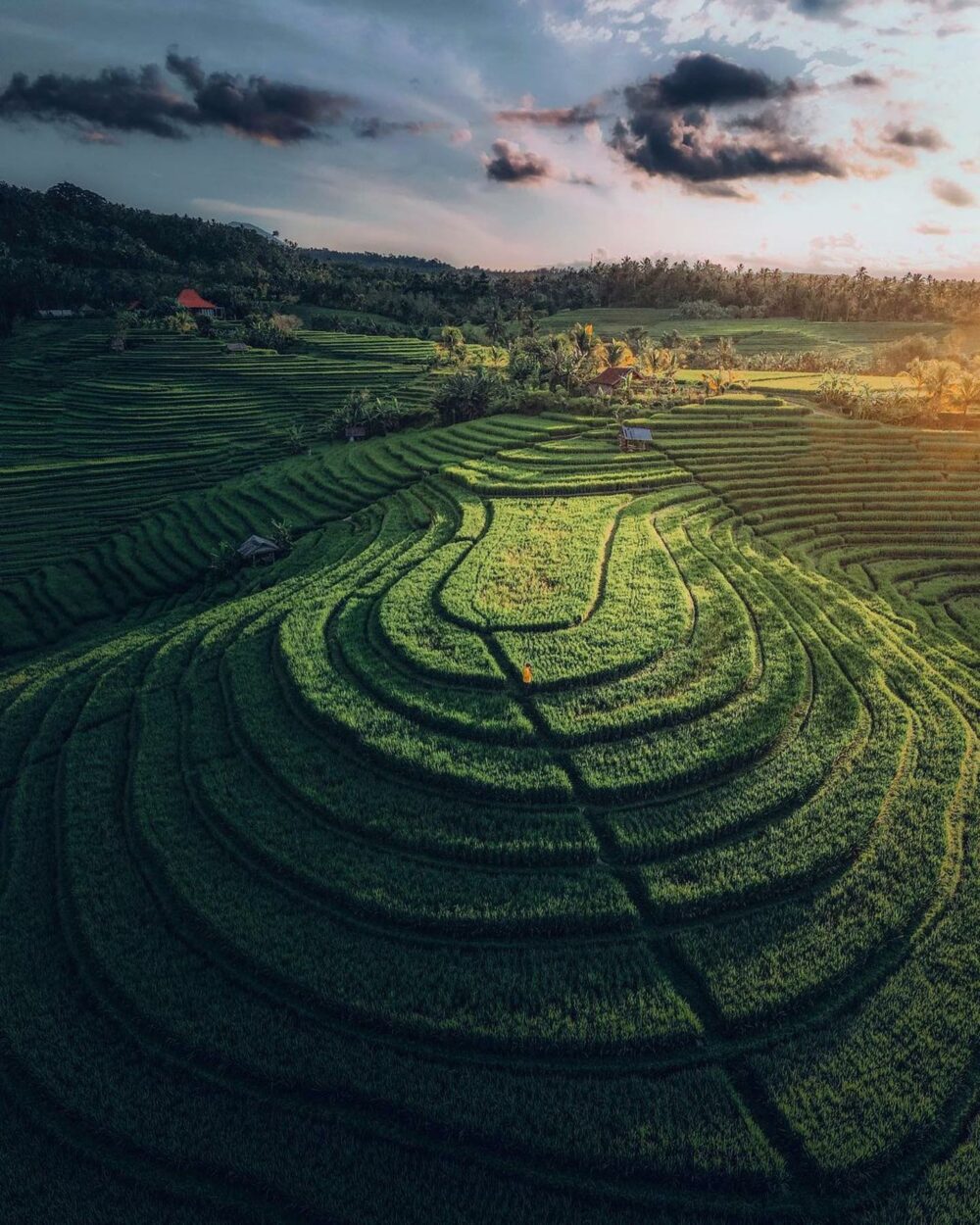 Hideout Sidemen Bali Rondreis Indonesie Vakantie Original Asia