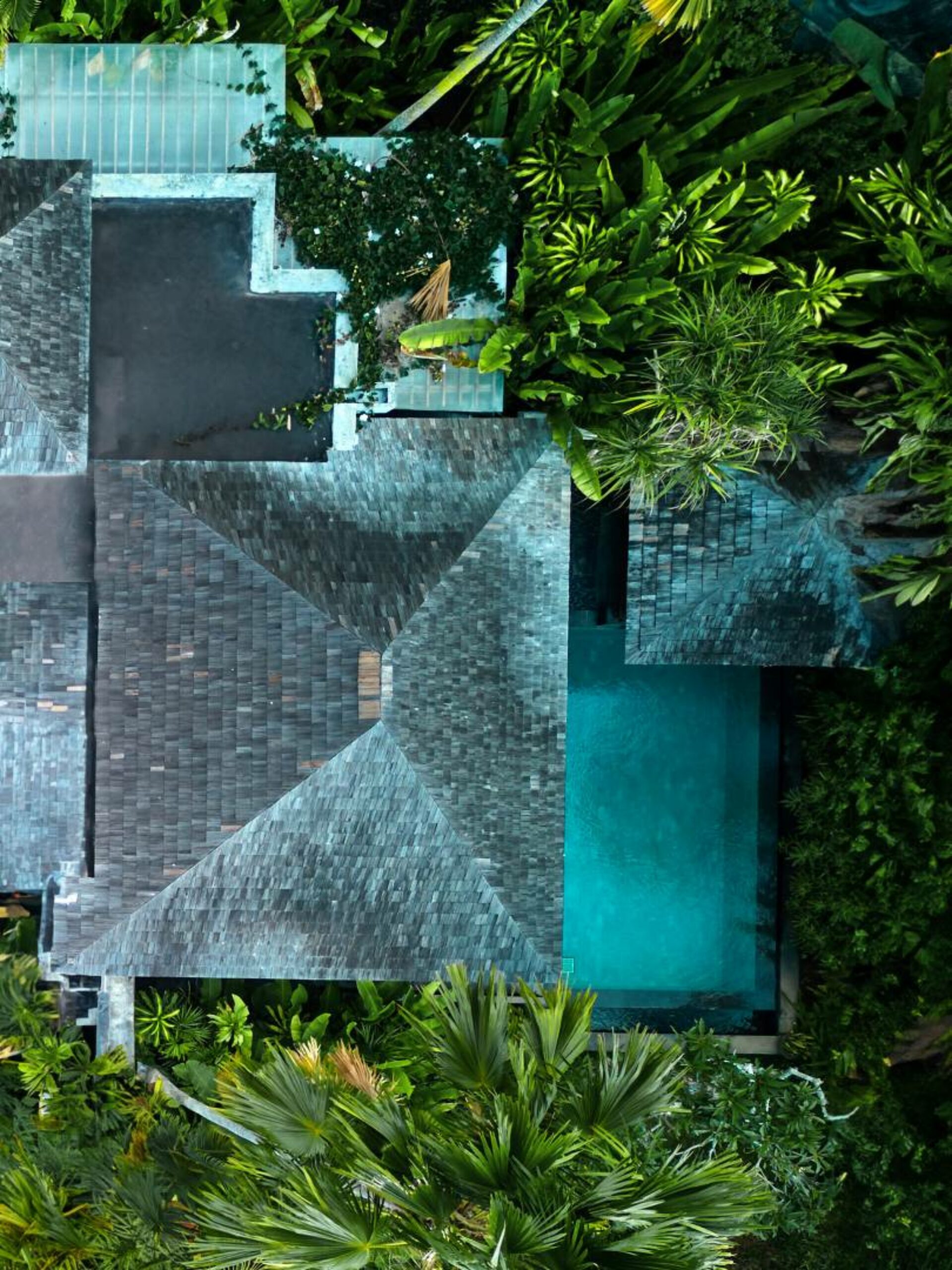 The Damai Lovina Bali Rondreis Indonesia Vakantie Original Asia