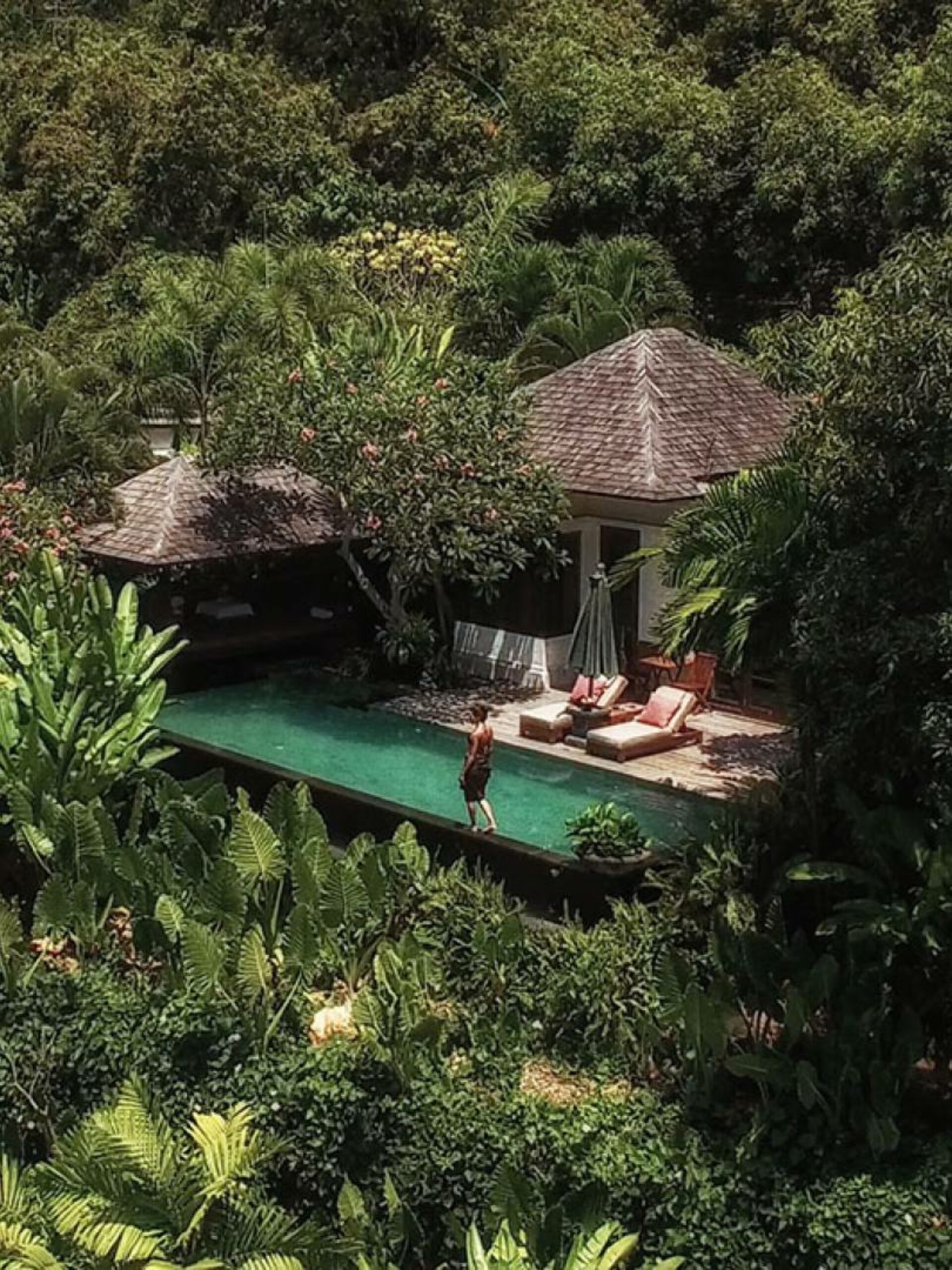 The Damai Lovina Bali Rondreis Indonesia Vakantie Original Asia