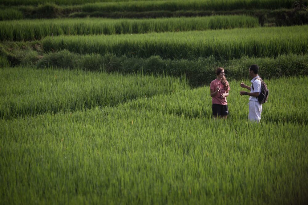 Manyi Village Ubud Bali Rondreis Indonesie Vakantie Original Asia