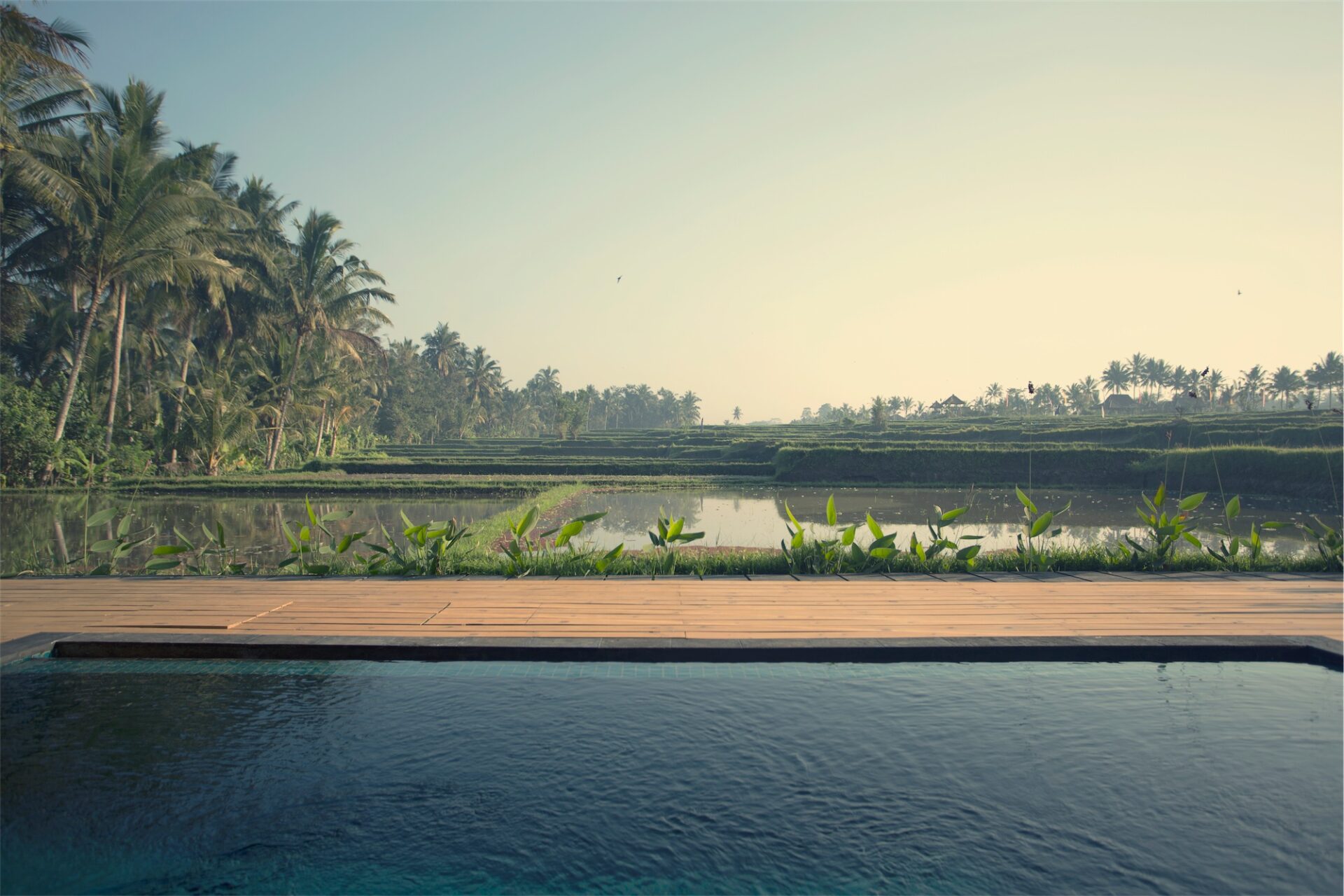 Manyi Village Ubud Bali Rondreis Indonesie Vakantie Original Asia