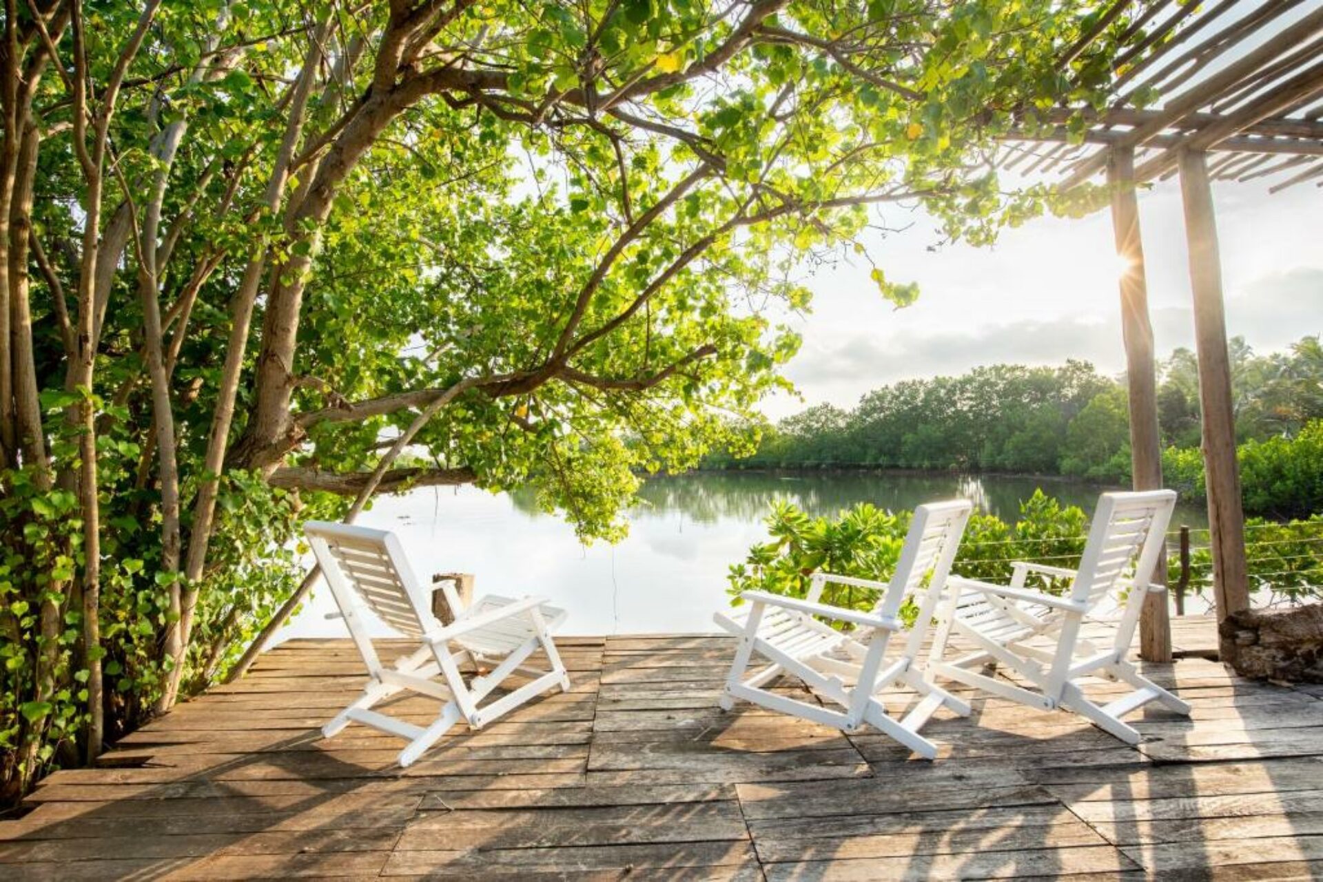 The Club Mango Kalpitiya Rondreis Sri Lanka Vakantie Original Asia