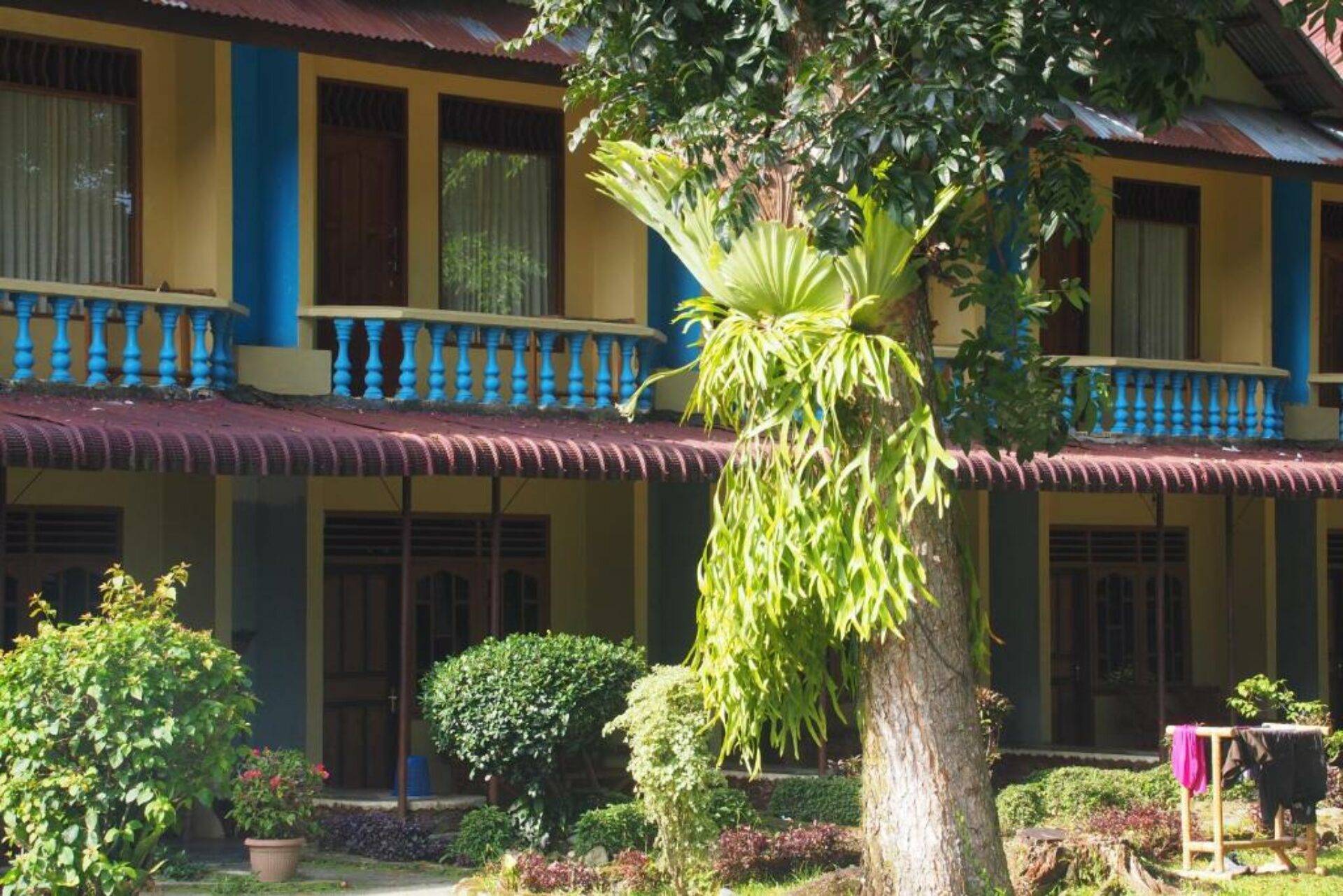 Wisma Leuser Sibayak Rondreis Sumatra Indonesie Vakantie Hotel 3