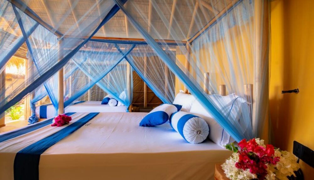 Blue Waters Arugambay Rondreis Sri Lanka Vakantie Original Asia