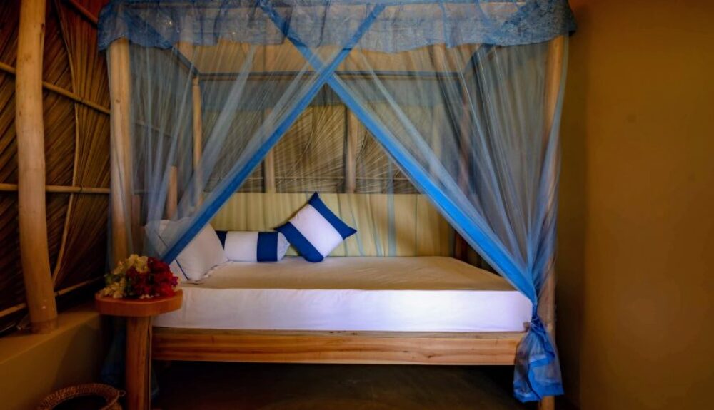 Blue Waters Arugambay Rondreis Sri Lanka Vakantie Original Asia