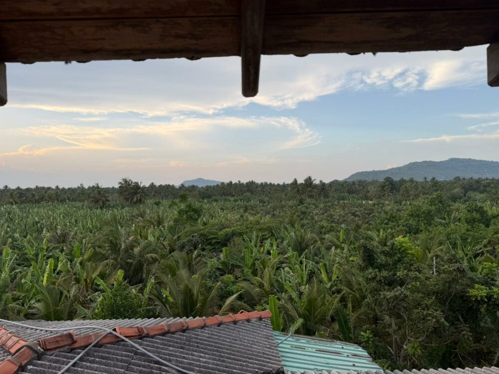 Coconut Garden Hotel & Restaurant Rondreis Sri Lanka Vakantie Uitzicht