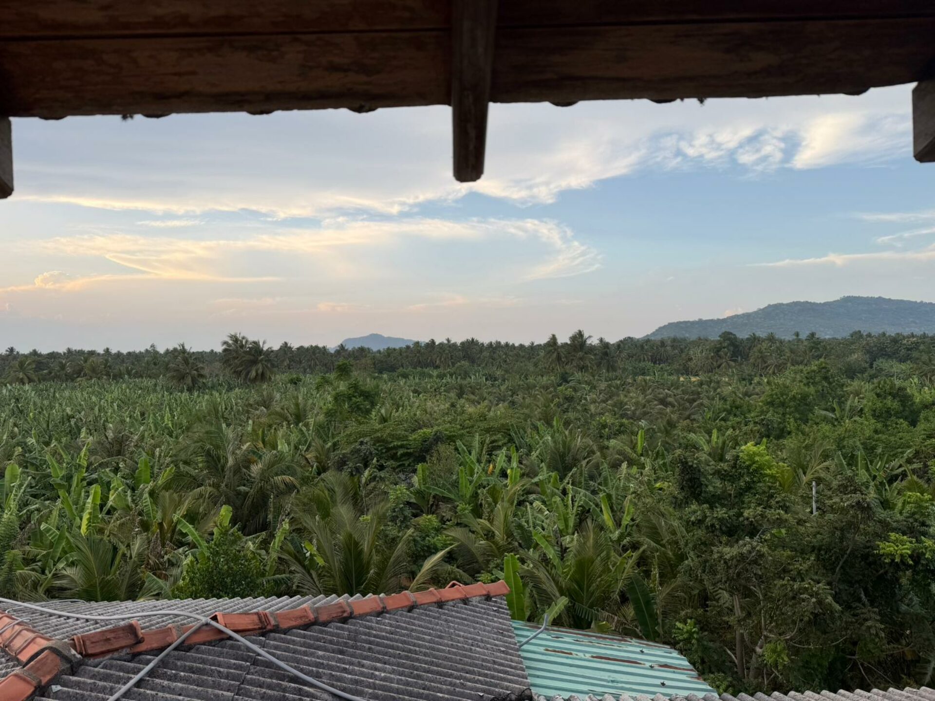 Coconut Garden Hotel & Restaurant Rondreis Sri Lanka Vakantie Uitzicht