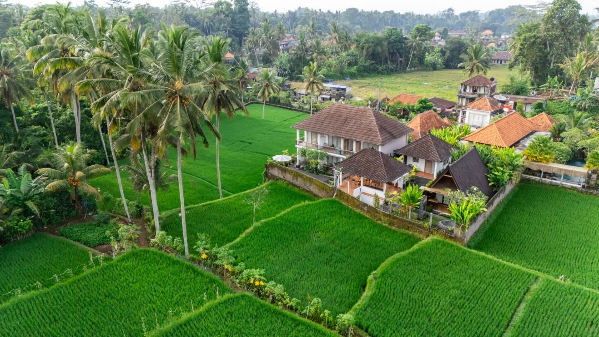 https://originalasia.nl/assets/uploads/2026/03/Tri-Dewi-Residence-Villa-Ubud-Hotel-Vakantie-Bali-Rondreis-Original-Asia-aerial1.jpg