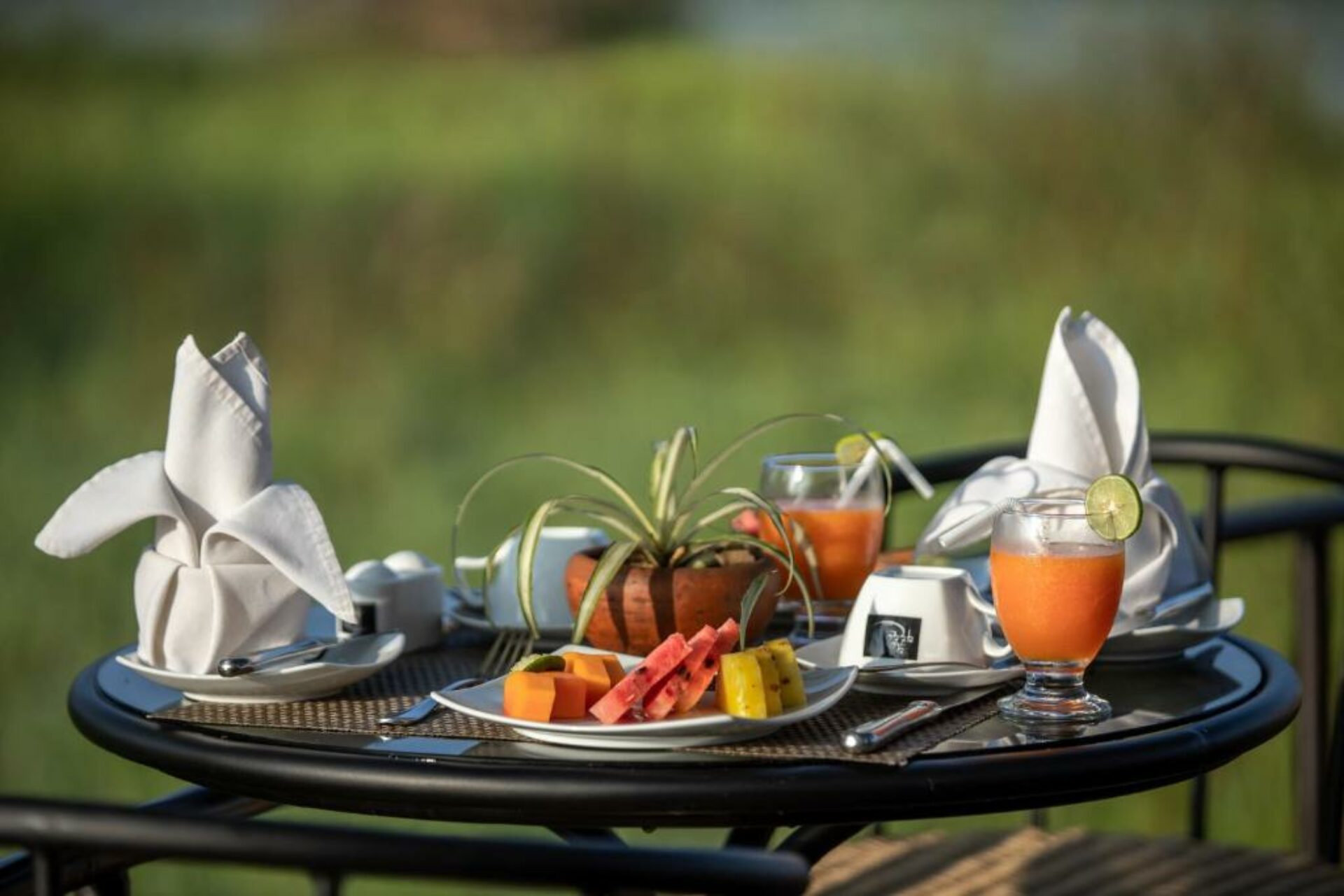 Wewa Addara Rondreis Sri Lanka Vakantie Ontbijt