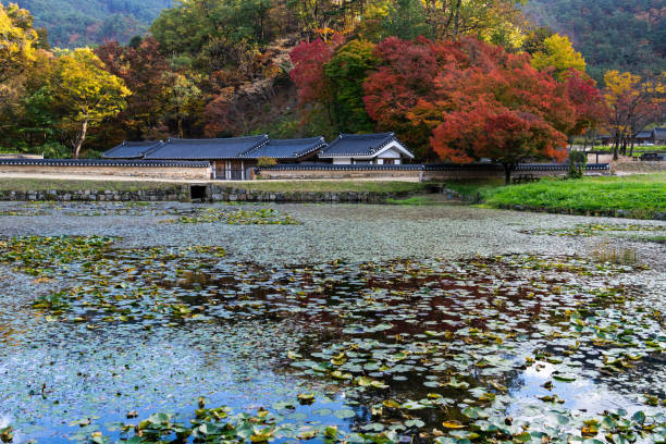 Galerij Original Asia Rondreis Korea Vakantie Suncheon Unsplash Seonamsa and Songgwangsa temples02
