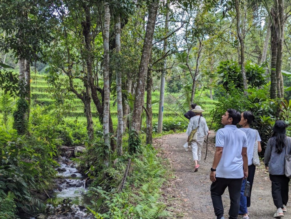 Dajuma Terrace Tabanan Bali Rondreis Indonesie Vakantie Original Asia
