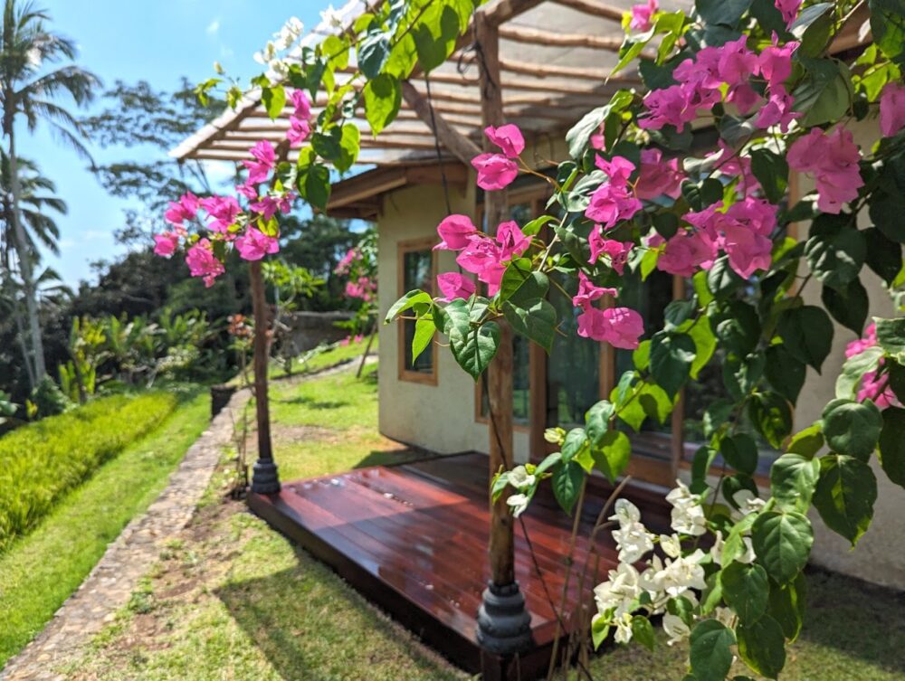 Dajuma Terrace Tabanan Bali Rondreis Indonesie Vakantie Original Asia