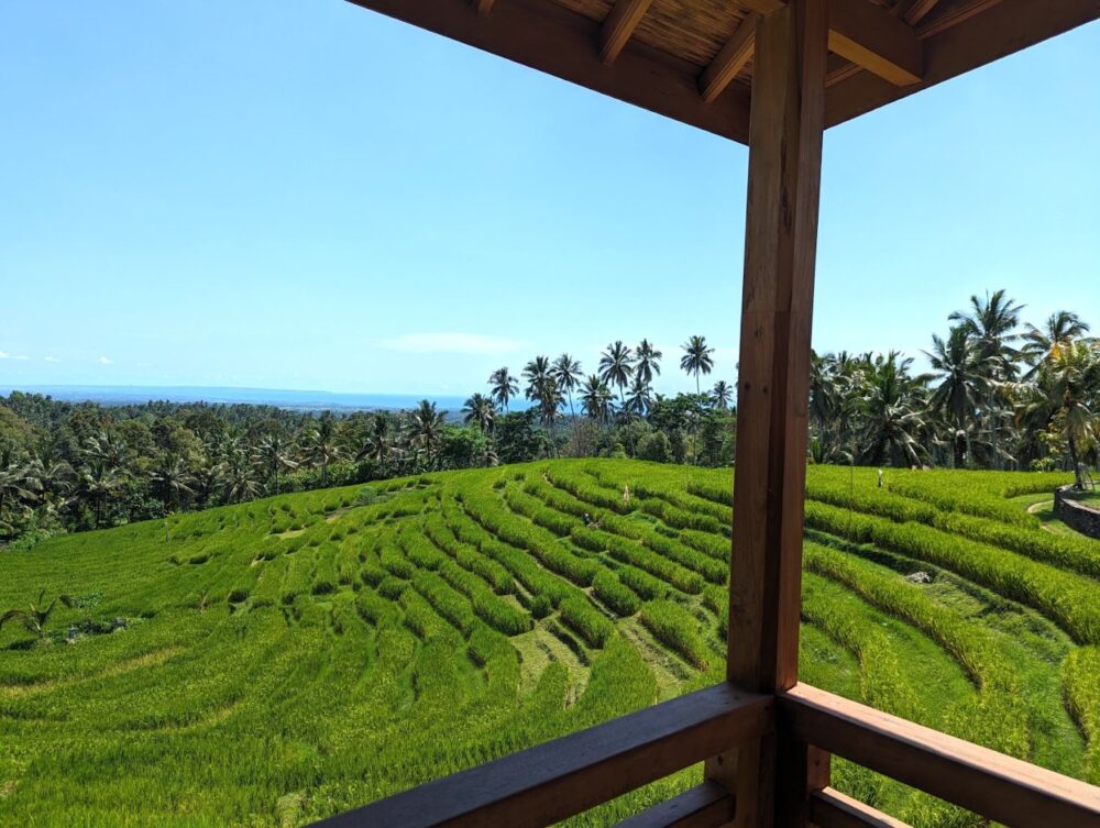 Dajuma Terrace Tabanan Bali Rondreis Indonesie Vakantie Original Asia