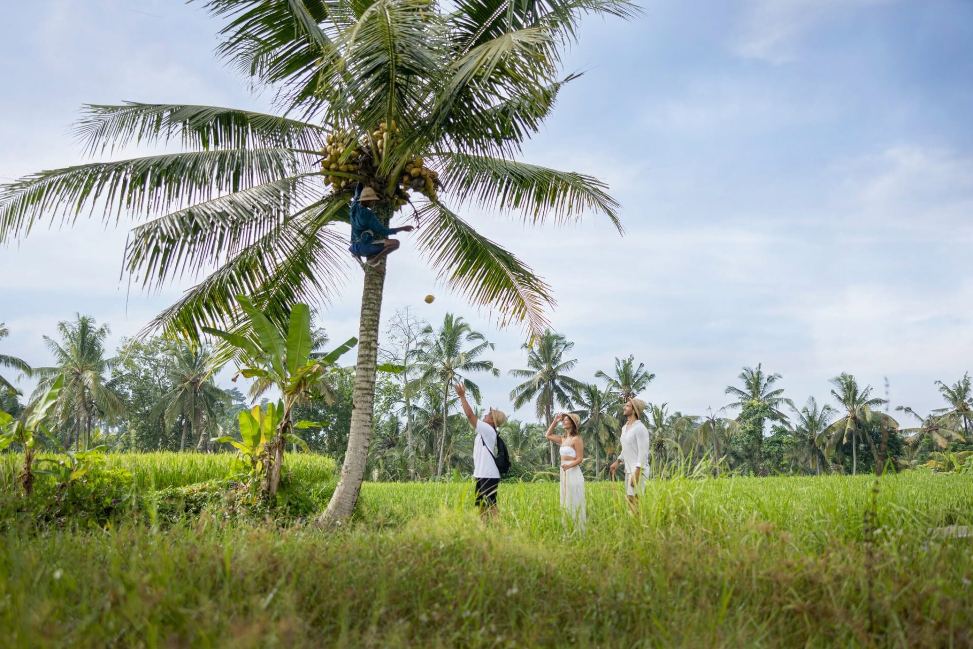 Edge of Ubud Bali Rondreis Indonesie Vakantie Original Asia
