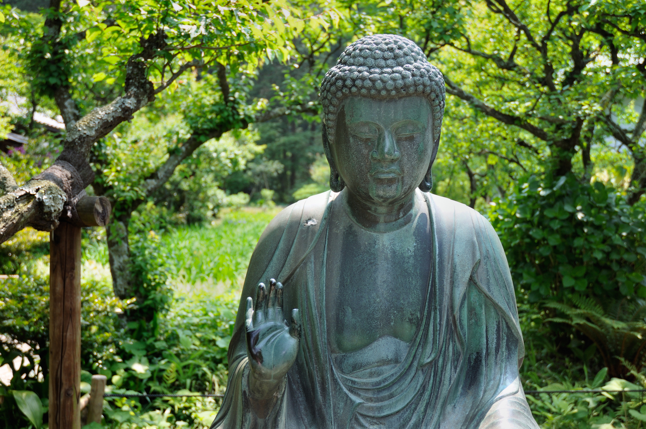 Home-Original-Asia-Rondreis-Japan-Vakantie-Istock-Kamakura-boeddh