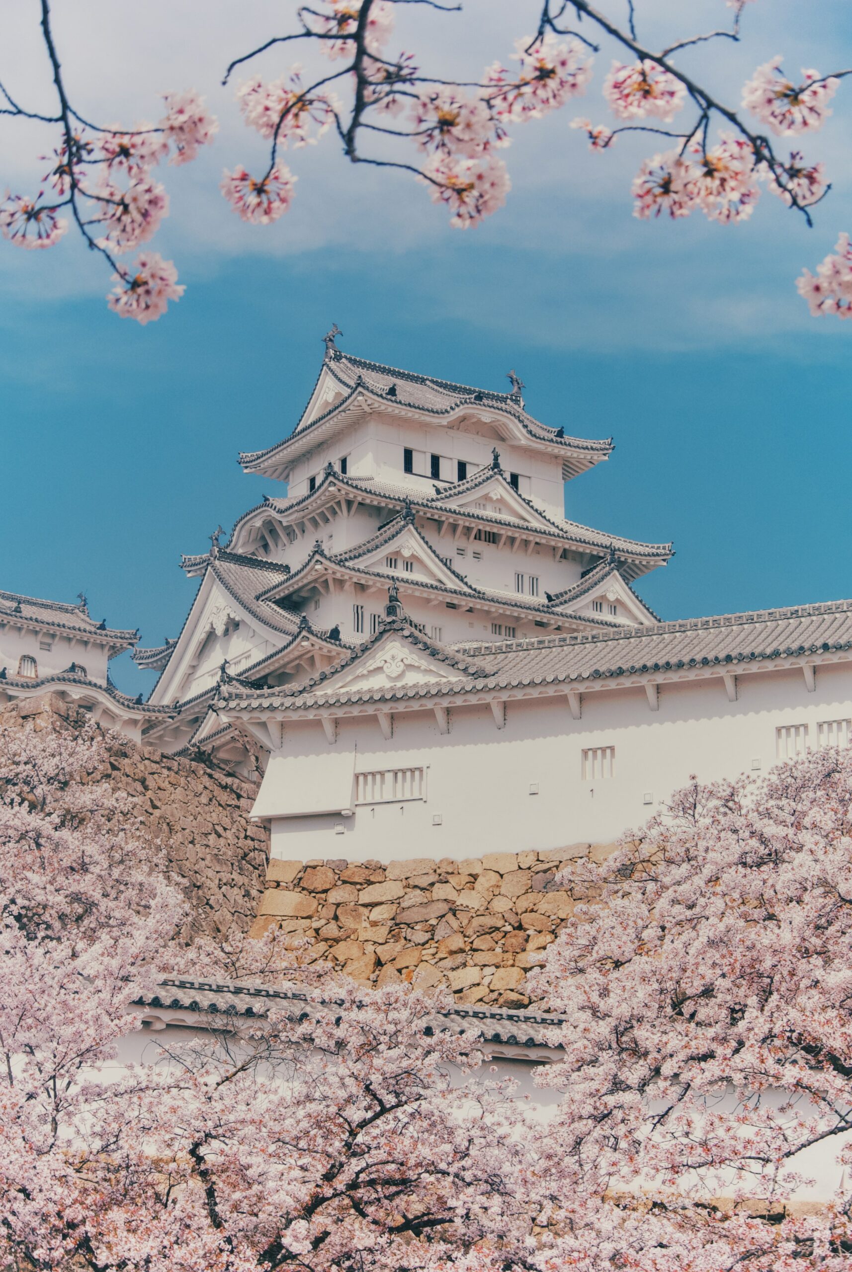 Home Original Asia Rondreis Japan Vakantie Unsplashed Himeji castle kasteel cherry blossom kersenbloesem