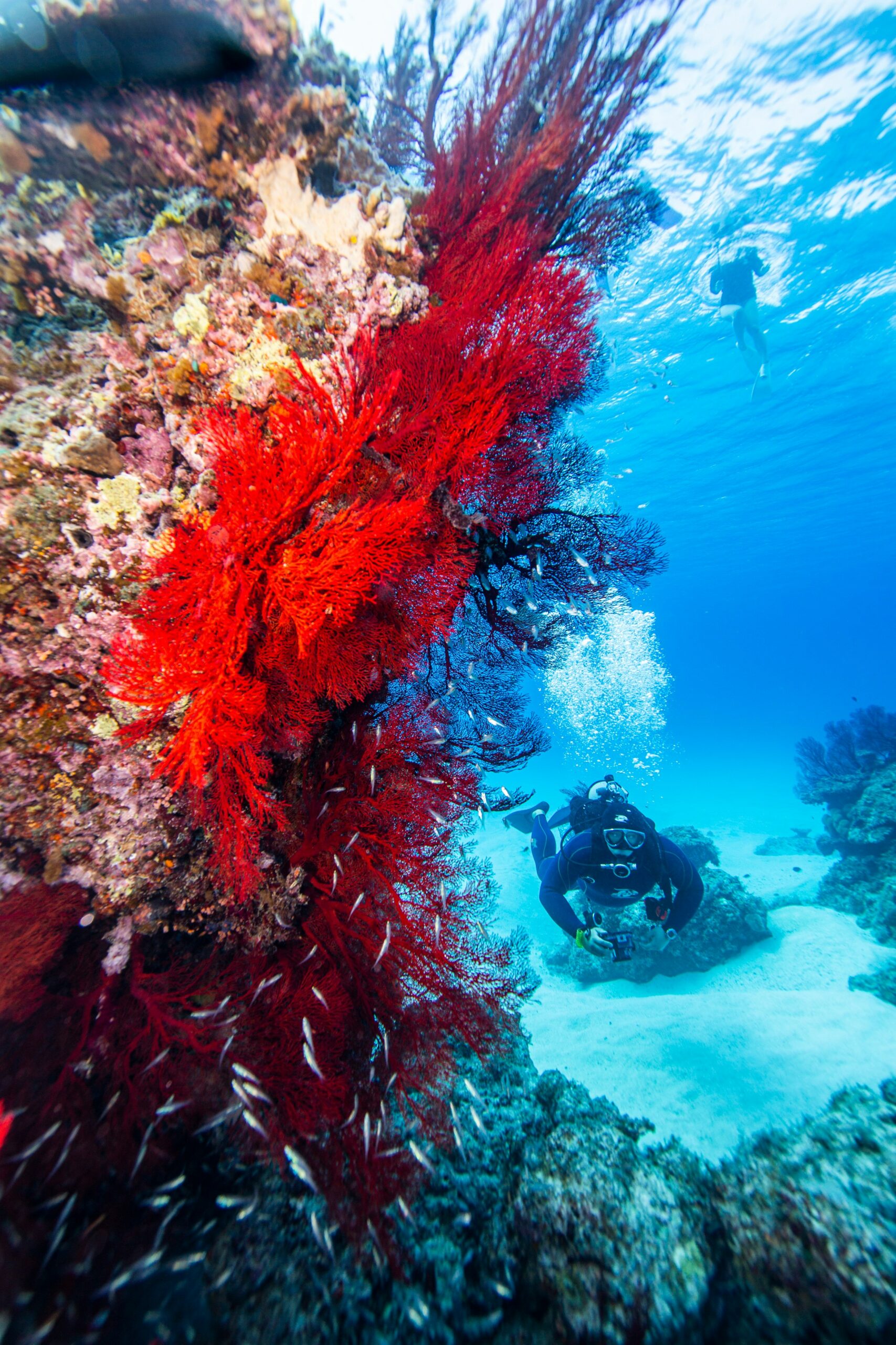 Home Original Asia Rondreis Japan Vakantie Unsplashed Ishigaki Island duiken scuba diving