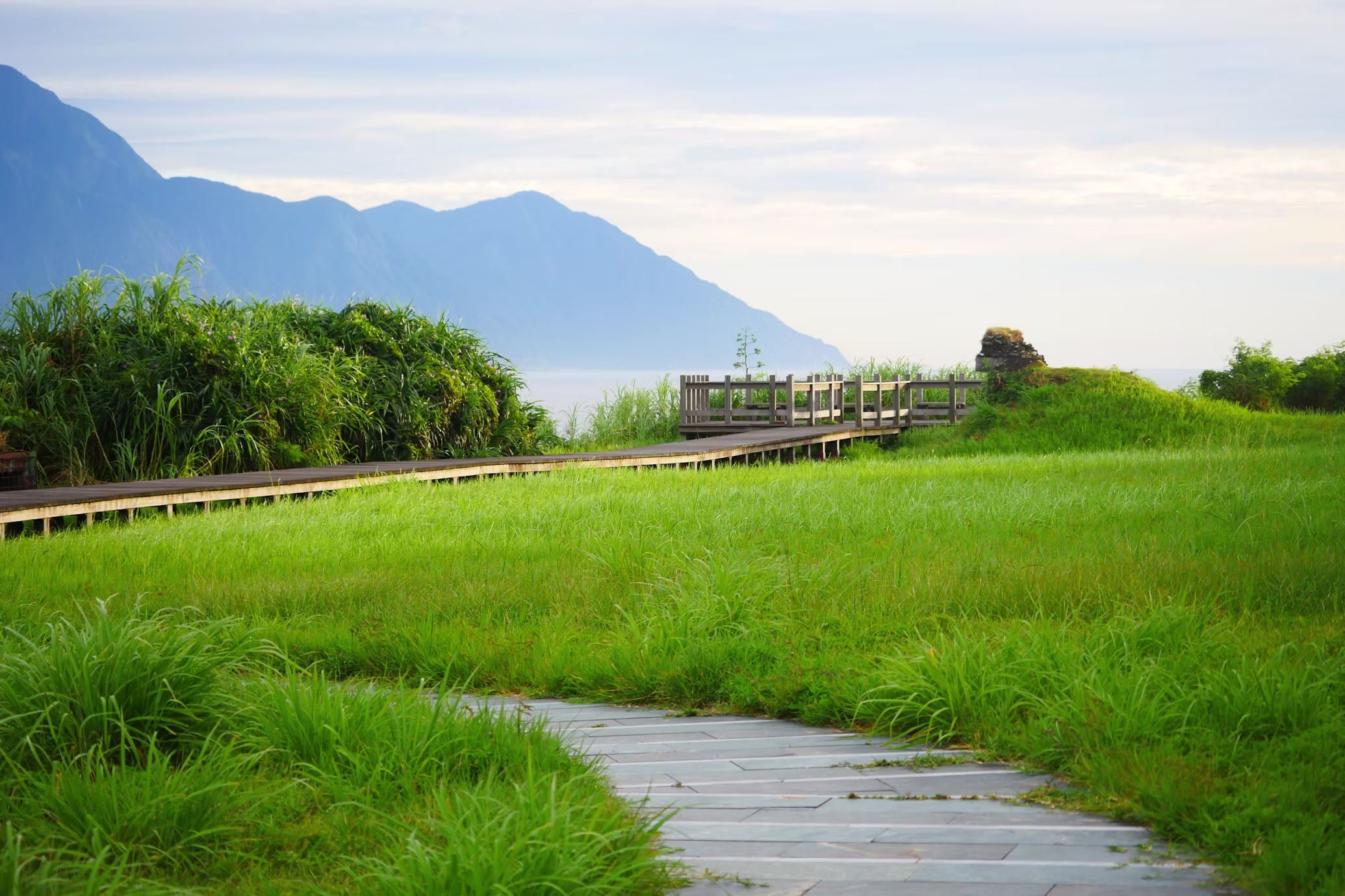 Home Original Asia Rondreis Taiwan Vakantie Hualien Unsplash Ricefields View