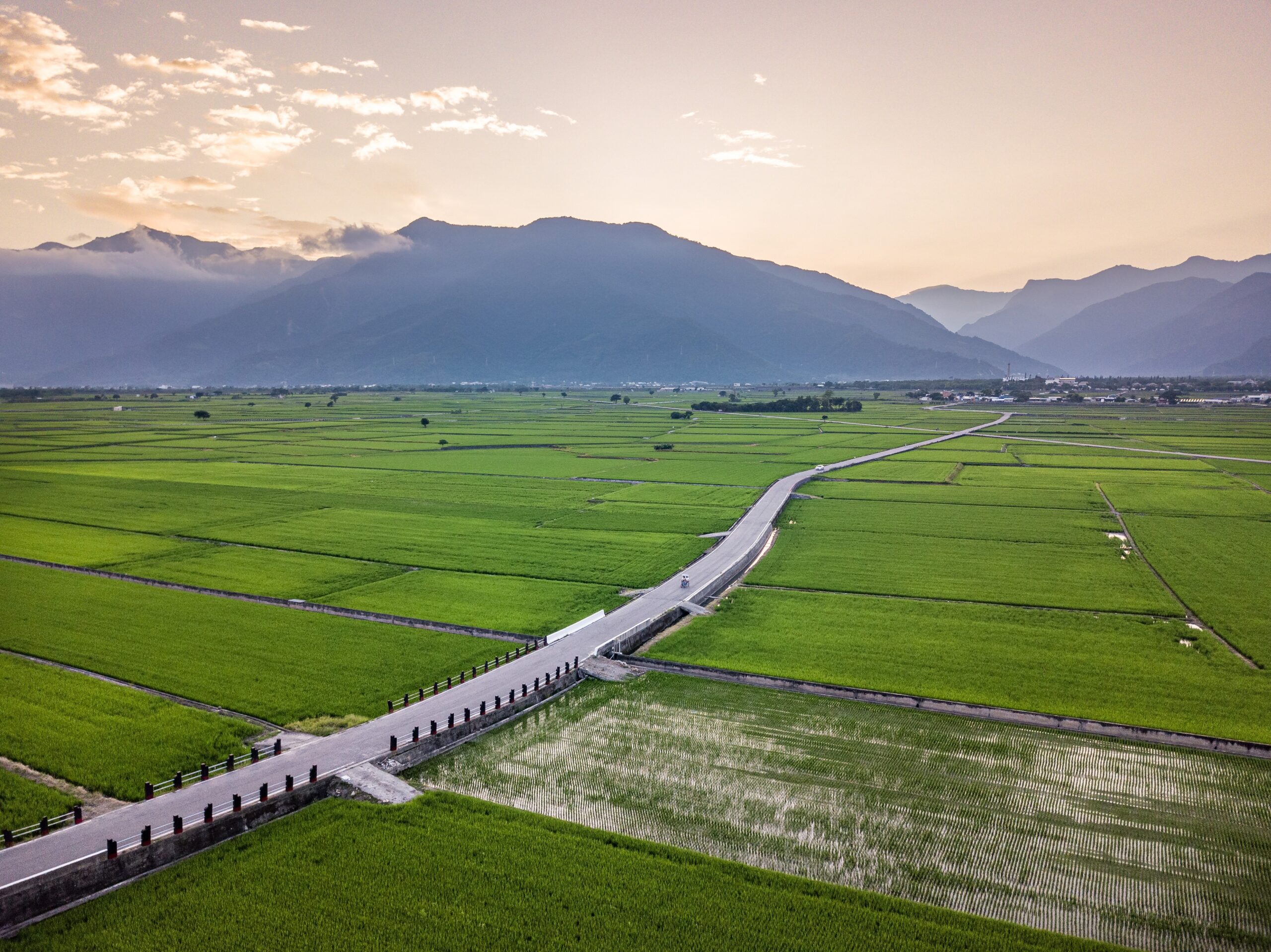 Home Original Asia Rondreis Taiwan Vakantie Taitung Istock The Rice Fields and Mountains in Chishang
