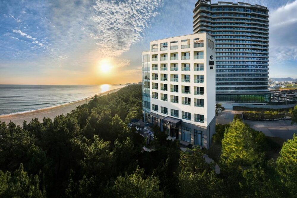Hound Hotel Gangneung Rondreis Zuid-Korea Vakantie Original Asia terras