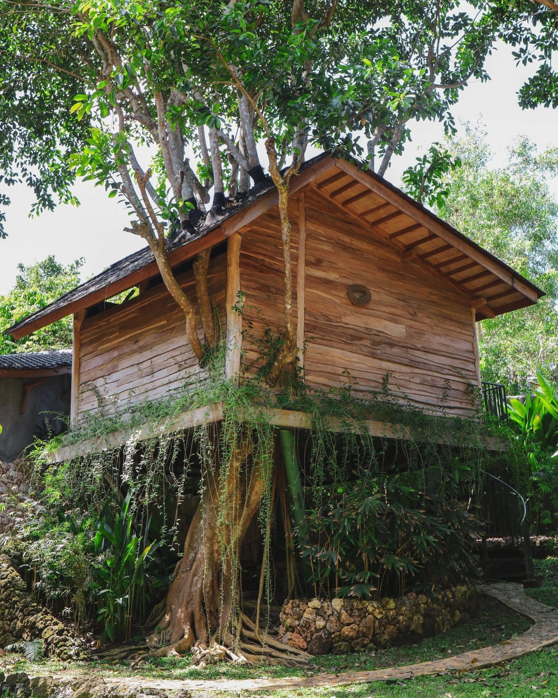 Roots Treehouse Uluwatu Badung Rondreis Indonesie Vakantie Original Asia