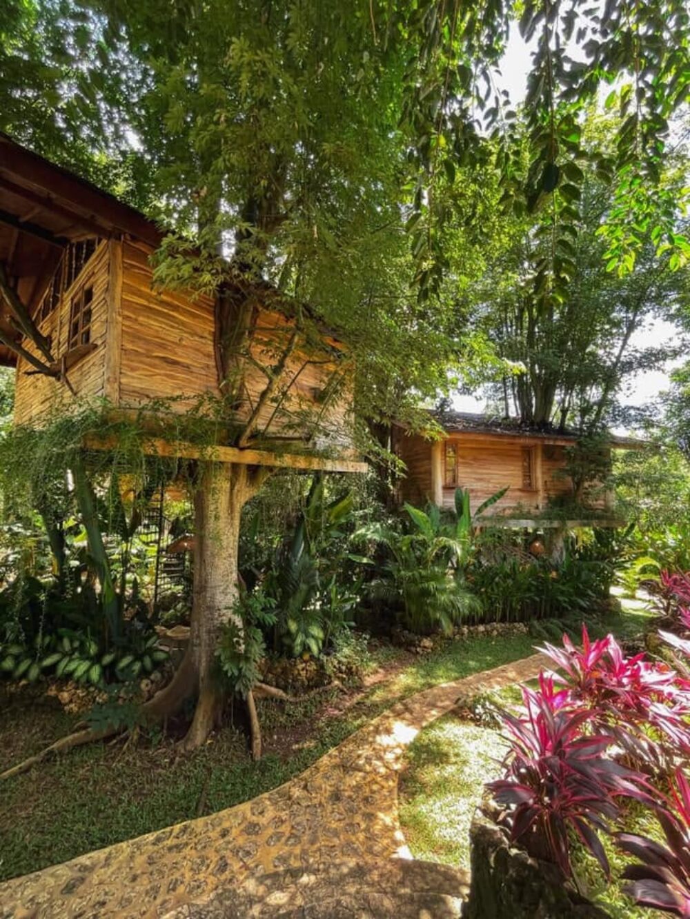 Roots Treehouse Uluwatu Badung Rondreis Indonesie Vakantie Original Asia