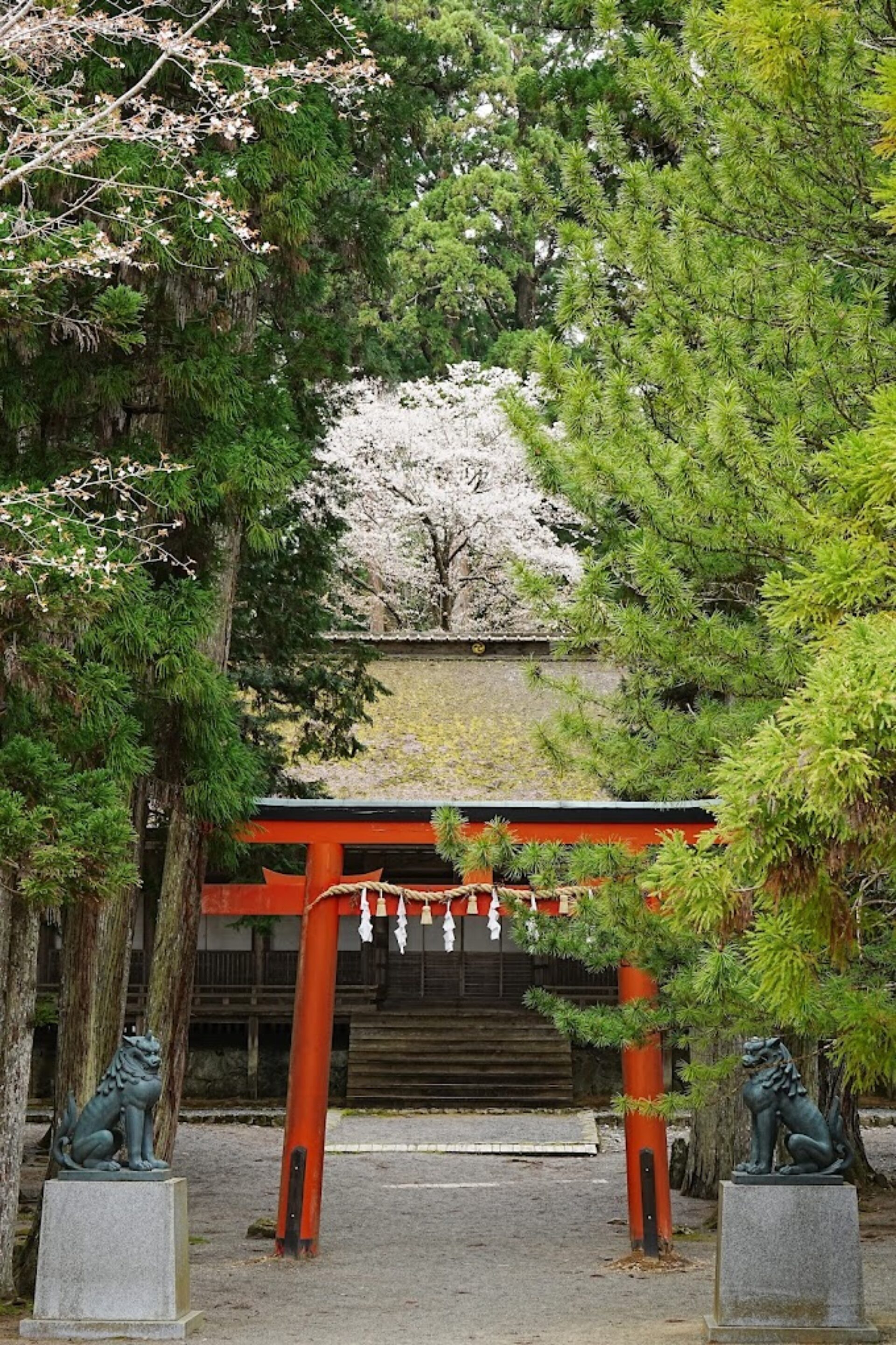 Saizenin Tempel Koyasan Rondreis Japan Vakantie Original Asia