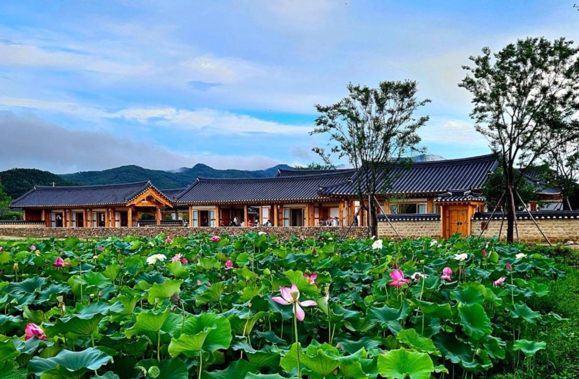 Soyeonjae Hanokstay gyeongju Homestay Hotel Rondreis Zuid-Korea Vakantie Original Asia