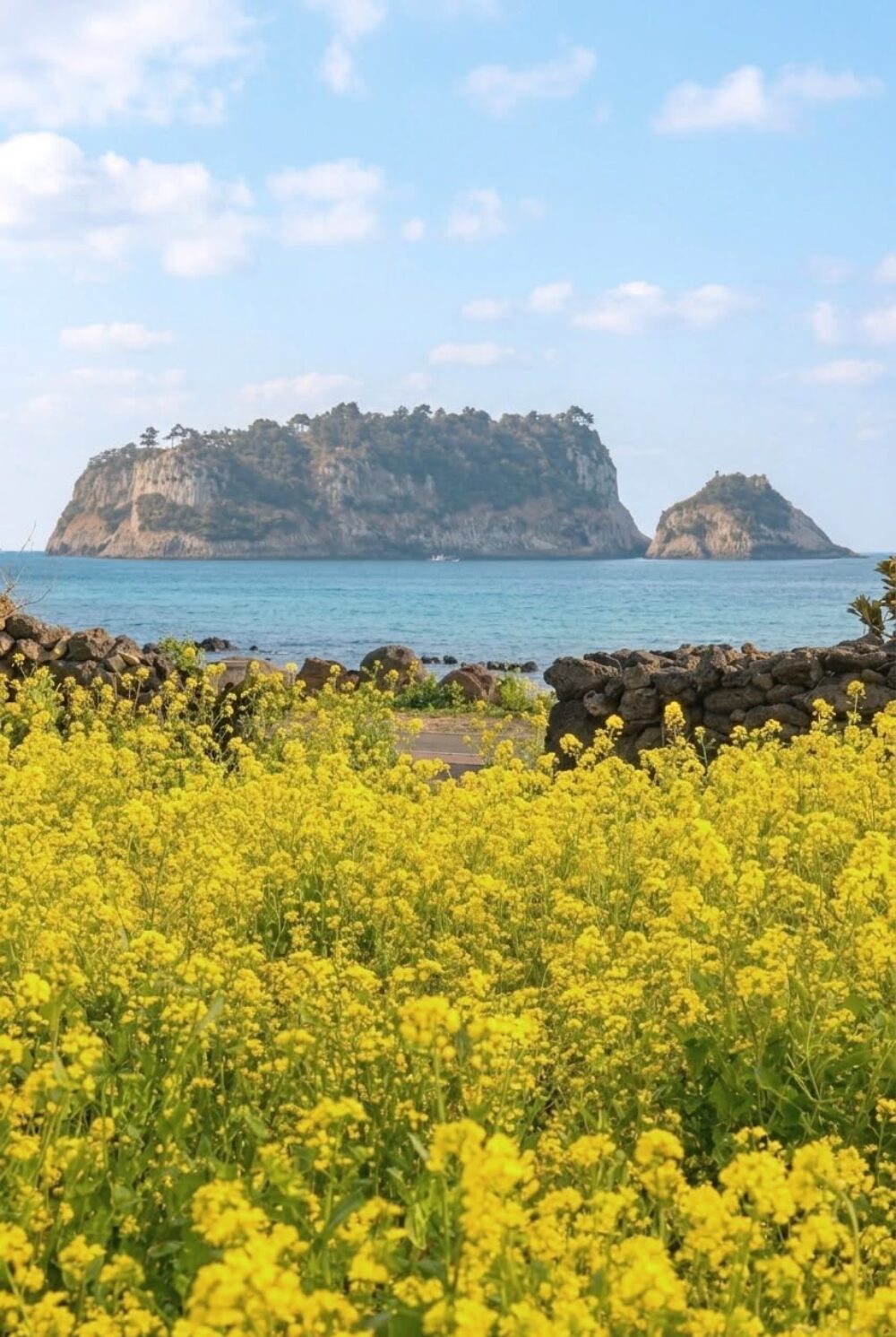 The Grand Sumorum Hotel Jeju Resort Rondreis Zuid-Korea Vakantie Original Asia