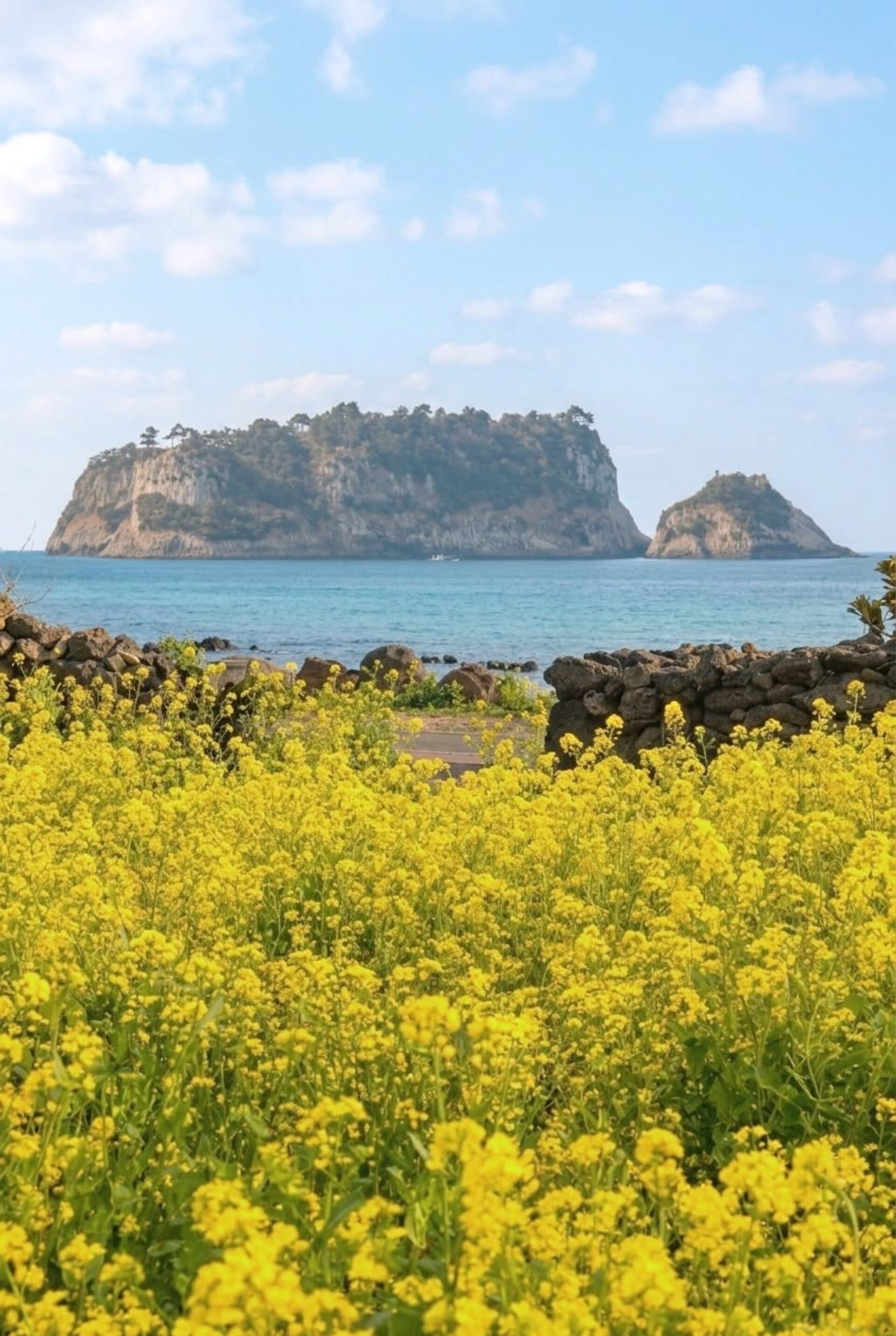 The Grand Sumorum Hotel Jeju Resort Rondreis Zuid-Korea Vakantie Original Asia