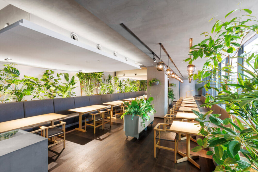 Good Nature Hotel Kyoto Rondreis Japan Vakantie Original Asia