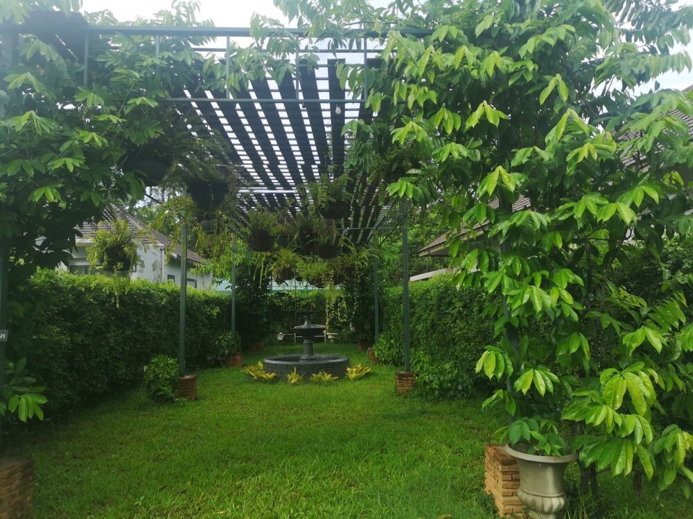 Nan Boutique Resort Nan Rondreis Thailand Vakantie Original Asia